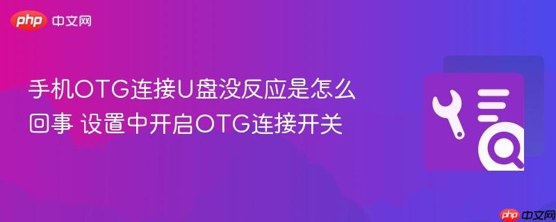 手机otg连接u盘没反应是怎么回事 设置中开启otg连接开关