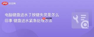 电脑键盘进水了按键失灵是怎么回事 键盘进水紧急处理方法