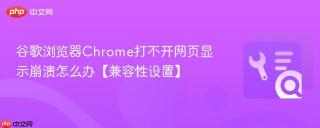 谷歌浏览器chrome打不开网页显示崩溃怎么办【兼容性设置】
