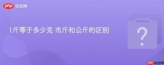 1斤等于多少克 市斤和公斤的区别