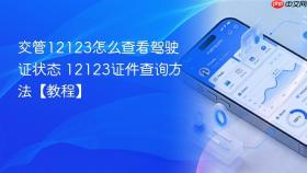 交管12123怎么查看驾驶证状态 12123证件查询方法【教程】