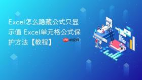 excel怎么隐藏公式只显示值 excel单元格公式保护方法【教程】