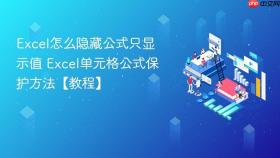 Excel怎么隐藏公式只显示值 Excel单元格公式保护方法【教程】
