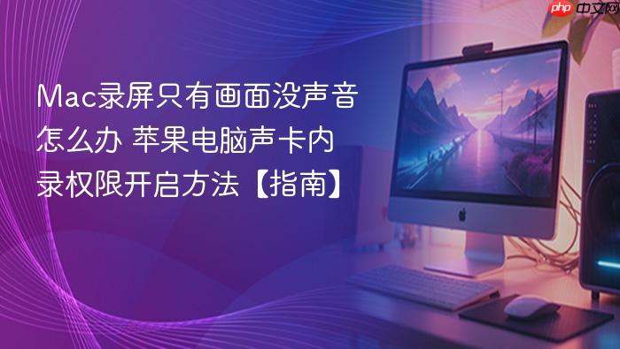 mac录屏只有画面没声音怎么办 苹果电脑声卡内录权限开启方法【指南】
