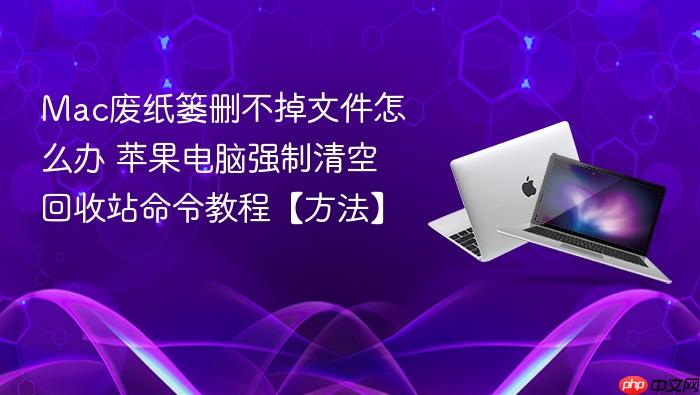 mac废纸篓删不掉文件怎么办 苹果电脑强制清空回收站命令教程【方法】