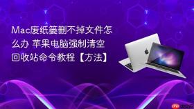 mac废纸篓删不掉文件怎么办 苹果电脑强制清空回收站命令教程【方法】