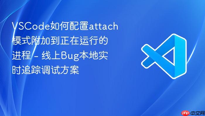 vscode如何配置attach模式附加到正在运行的进程 - 线上bug本地实时追踪调试方案