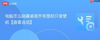 电脑怎么隐藏桌面所有图标只留壁纸【查看选项】