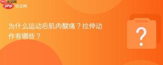 为什么运动后肌肉酸痛?拉伸动作有哪些?
