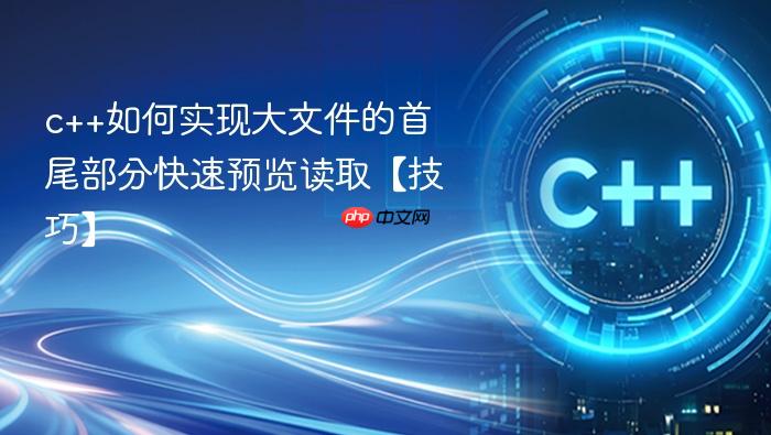 c++如何实现大文件的首尾部分快速预览读取【技巧】