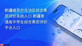 新疆维吾尔自治区综合素质评价系统入口 新疆普通高中学生综合素质评价平台入口