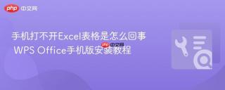 手机打不开excel表格是怎么回事 wps office手机版安装教程