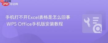 手机打不开Excel表格是怎么回事 WPS Office手机版安装教程