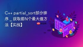 c++ partial_sort部分排序 _ 获取前n个最大值方法【实战】