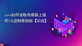 c++如何读取传感器上报的16进制原始帧【实战】