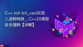 c++ std::bit_cast实现二进制转换 _ c++20类型安全强转【详解】