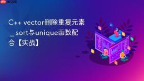 c++ vector删除重复元素 _ sort与unique函数配合【实战】