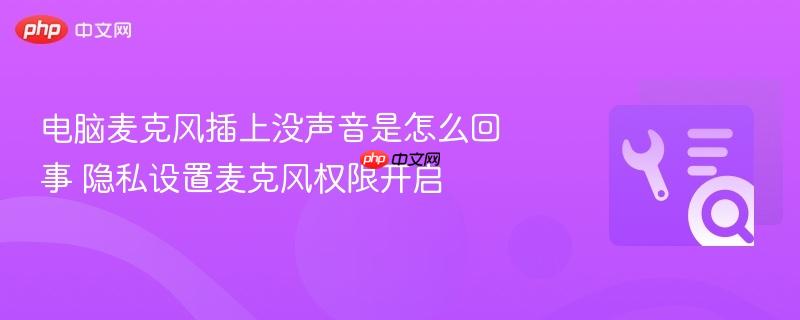 电脑麦克风插上没声音是怎么回事 隐私设置麦克风权限开启
