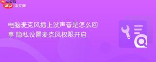 电脑麦克风插上没声音是怎么回事 隐私设置麦克风权限开启