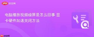 电脑播放视频绿屏是怎么回事 显卡硬件加速关闭方法