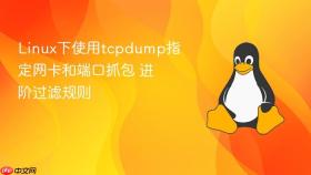 Linux下使用tcpdump指定网卡和端口抓包 进阶过滤规则