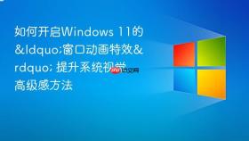 如何开启windows 11的“窗口动画特效” 提升系统视觉高级感方法