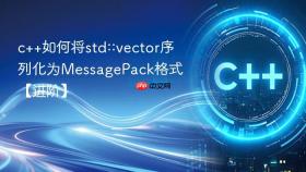 c++如何将std::vector序列化为messagepack格式【进阶】
