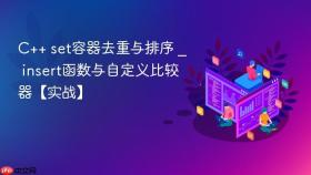 c++ set容器去重与排序 _ insert函数与自定义比较器【实战】