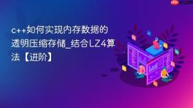 c++如何实现内存数据的透明压缩存储_结合lz4算法【进阶】