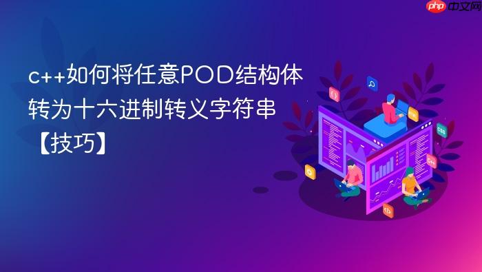 c++如何将任意pod结构体转为十六进制转义字符串【技巧】
