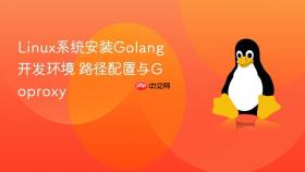 linux系统安装golang开发环境 路径配置与goproxy