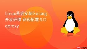 Linux系统安装Golang开发环境 路径配置与Goproxy