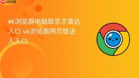 vk浏览器电脑版官方直达入口 vk浏览器网页版进入入口