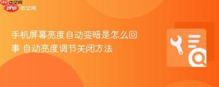 手机屏幕亮度自动变暗是怎么回事 自动亮度调节关闭方法