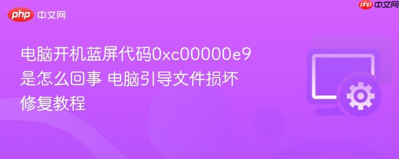 电脑开机蓝屏代码0xc00000e9是怎么回事 电脑引导文件损坏修复教程