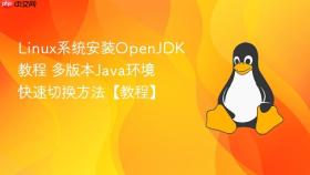 Linux系统安装OpenJDK教程 多版本Java环境快速切换方法【教程】