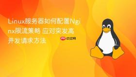 Linux服务器如何配置Nginx限流策略 应对突发高并发请求方法
