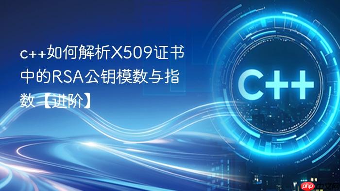 c++如何解析x509证书中的rsa公钥模数与指数【进阶】