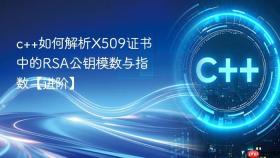 c++如何解析x509证书中的rsa公钥模数与指数【进阶】
