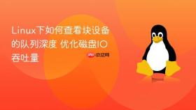 Linux下如何查看块设备的队列深度 优化磁盘IO吞吐量