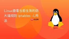 Linux查看当前生效的防火墙规则 iptables -L用法