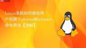 linux系统如何修改用户权限？chmod和chown命令用法【详解】