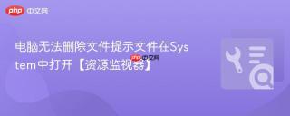 电脑无法删除文件提示文件在System中打开【资源监视器】