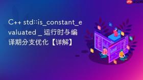 c++ std::is_constant_evaluated _ 运行时与编译期分支优化【详解】