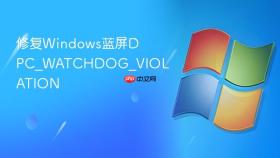 修复Windows蓝屏DPC_WATCHDOG_VIOLATION