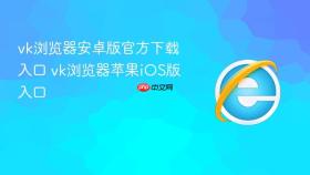 vk浏览器安卓版官方下载入口 vk浏览器苹果iOS版入口