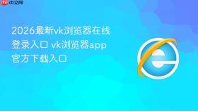 2026最新vk浏览器在线登录入口 vk浏览器app官方下载入口