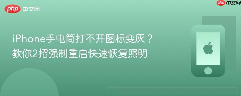 iphone手电筒打不开图标变灰?教你2招强制重启快速恢复照明