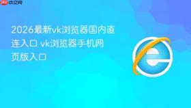 2026最新vk浏览器国内直连入口 vk浏览器手机网页版入口