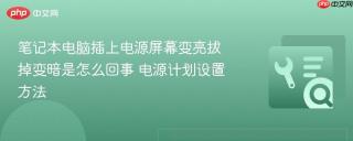 笔记本电脑插上电源屏幕变亮拔掉变暗是怎么回事 电源计划设置方法